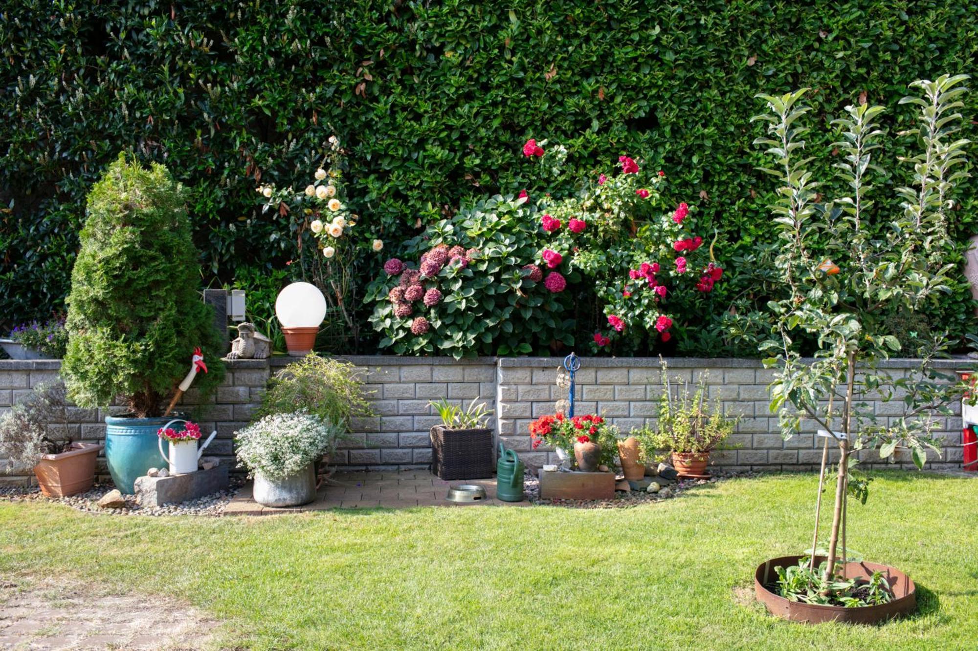 Ferienhaus Jasmin Neuruppin Extérieur photo